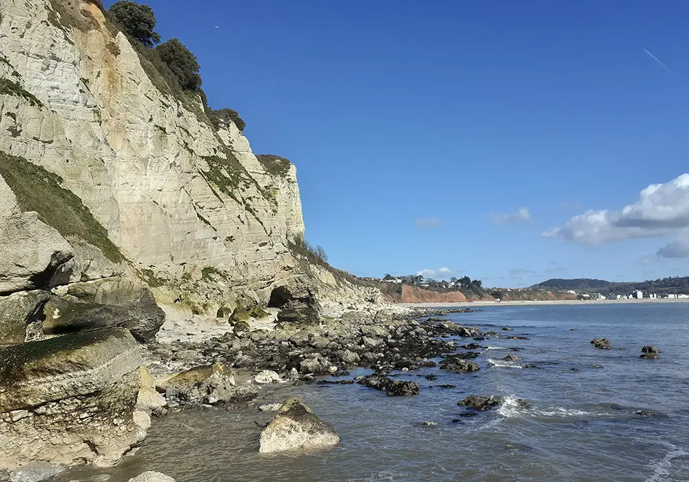 Cosastal&RockCas1-2